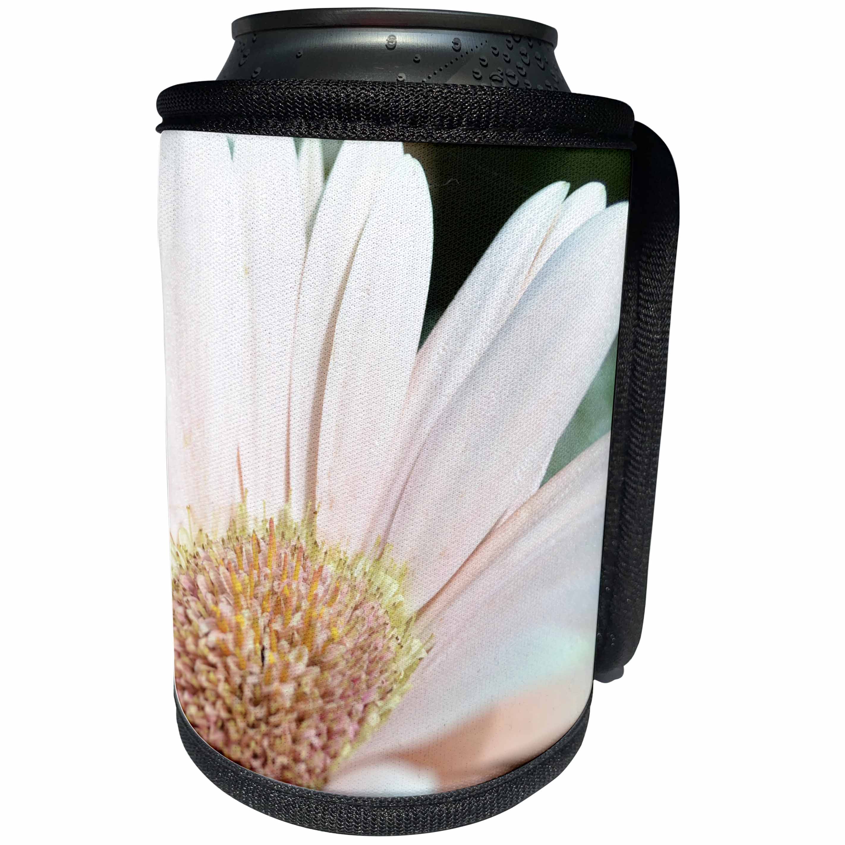 3dRose Patricia Sanders Flowers - Floral Pink Gerbera Daisy - Can Cooler Bottle Wrap (cc_26132)