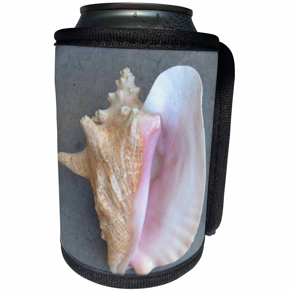 3dRose Patricia Sanders Photography - Conch Shell - Can Cooler Bottle Wrap (cc_26133)