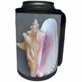 3dRose Patricia Sanders Photography - Conch Shell - Can Cooler Bottle Wrap (cc_26133)