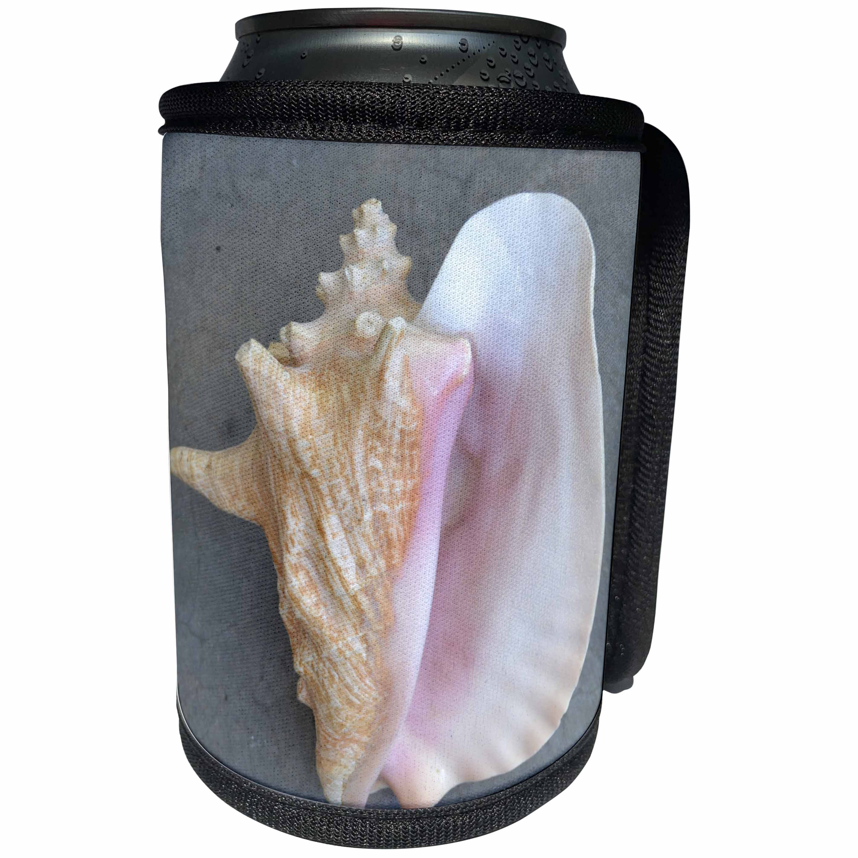 3dRose Patricia Sanders Photography - Conch Shell - Can Cooler Bottle Wrap (cc_26133)