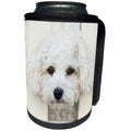 3dRose RinaPiro - Dogs - Maltese. Small breed dog. Friendly dog. White. - Can Cooler Bottle Wrap (cc_261457)