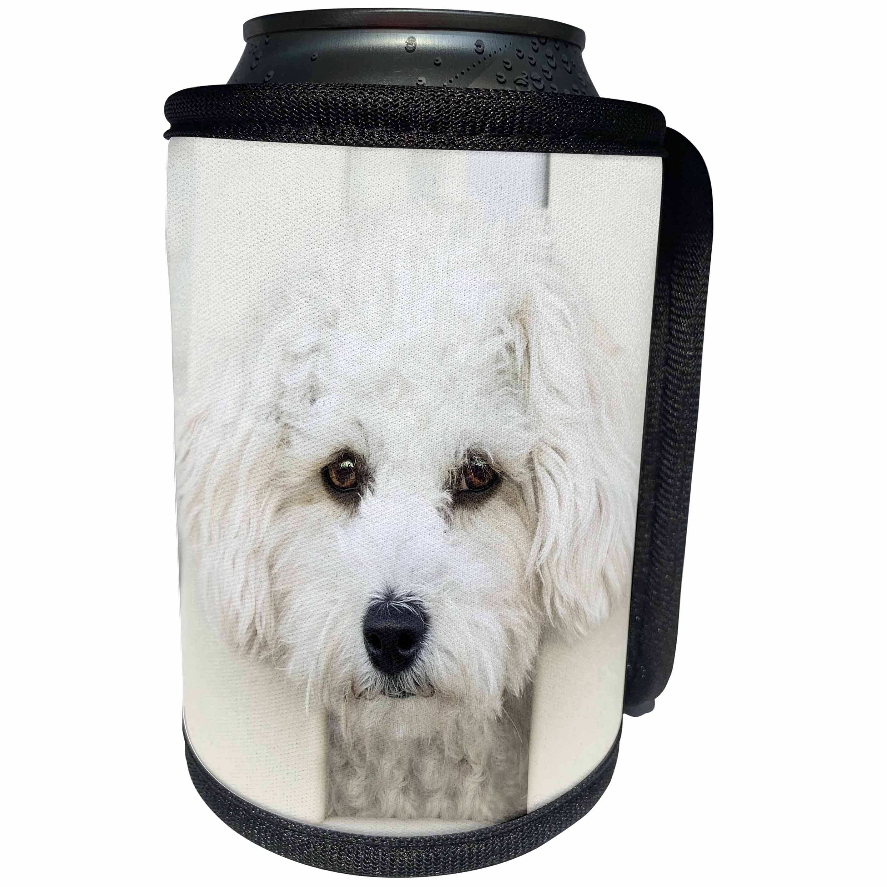 3dRose RinaPiro - Dogs - Maltese. Small breed dog. Friendly dog. White. - Can Cooler Bottle Wrap (cc_261457)