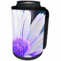 3dRose Patricia Sanders Creations - Purple Gerbera Daisy Floral Art - Can Cooler Bottle Wrap (cc_26161)