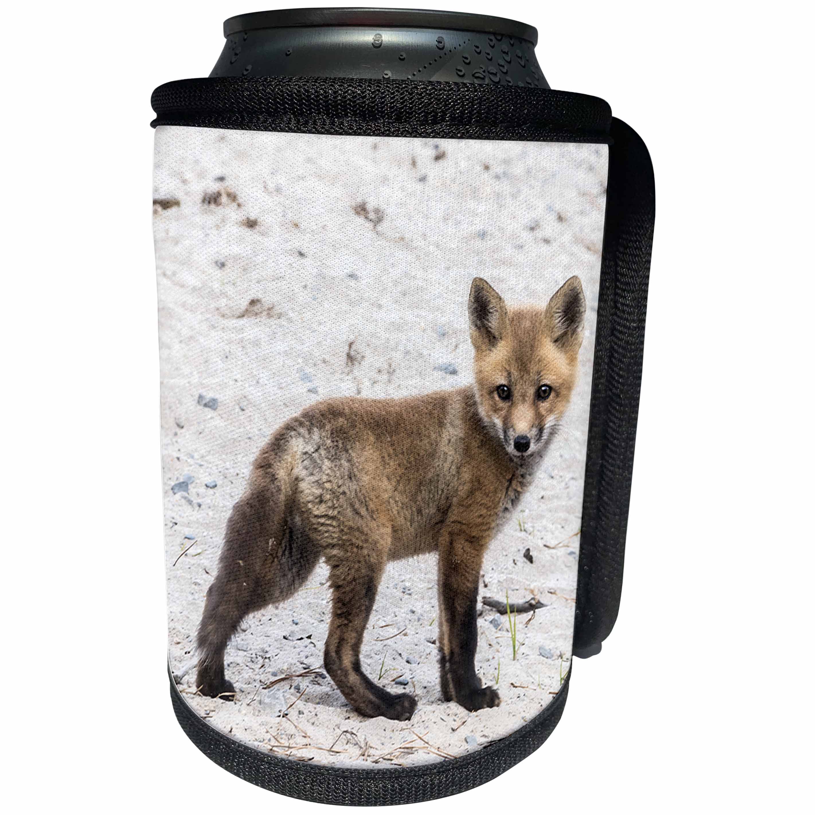 3dRose Roni Chastain Photography - Fox kit - Can Cooler Bottle Wrap (cc_261657)