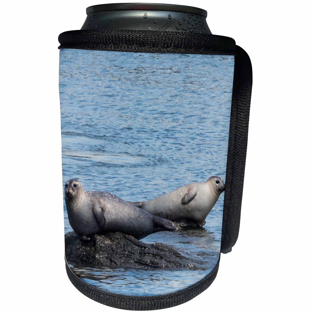 3dRose Roni Chastain Photography - See Seals - Can Cooler Bottle Wrap (cc_261673)