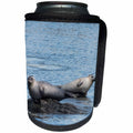 3dRose Roni Chastain Photography - See Seals - Can Cooler Bottle Wrap (cc_261673)