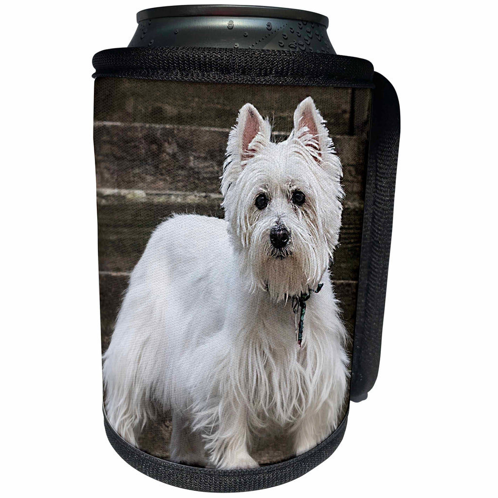 3dRose Roni Chastain Photography - Westie - Can Cooler Bottle Wrap (cc_261694)