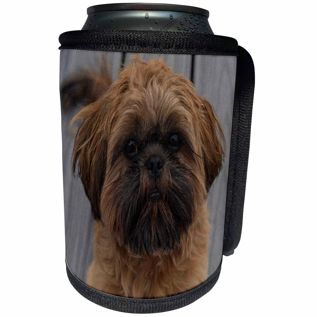 3dRose Roni Chastain Photography - Shih Tzu Close Up - Can Cooler Bottle Wrap (cc_261695)