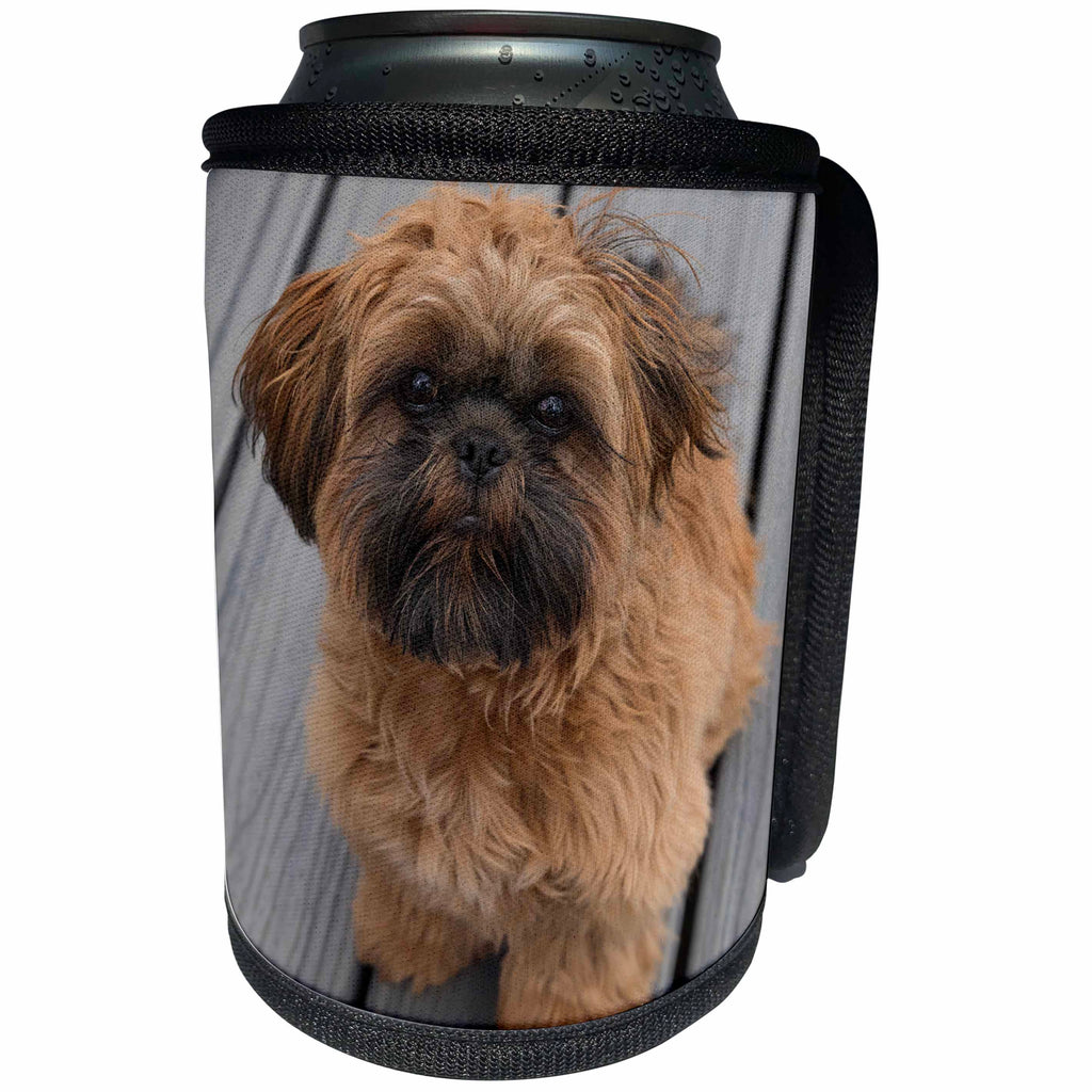 3dRose Roni Chastain Photography - Shih Tzu - Can Cooler Bottle Wrap (cc_261696)