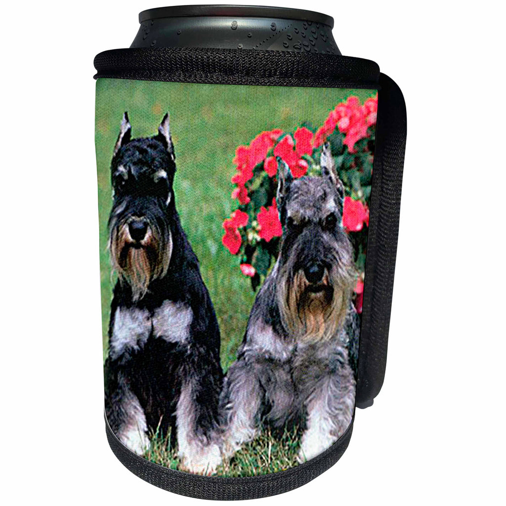 3dRose Dogs Schnauzer - Schnauzer - Can Cooler Bottle Wrap (cc_262)