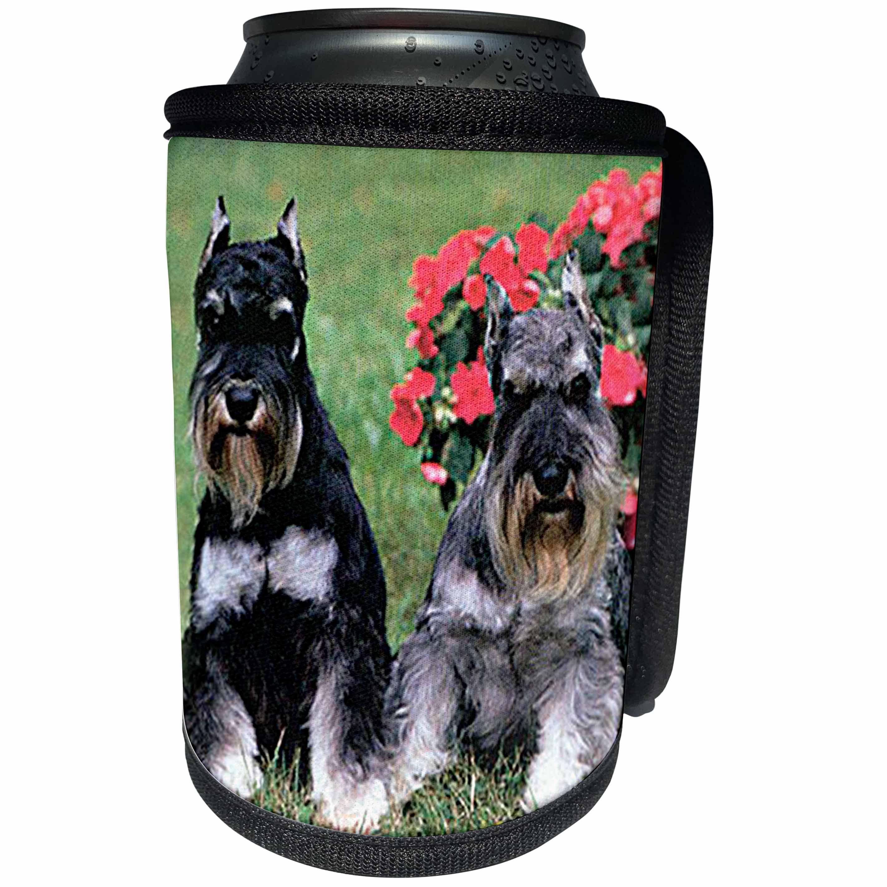 3dRose Dogs Schnauzer - Schnauzer - Can Cooler Bottle Wrap (cc_262)