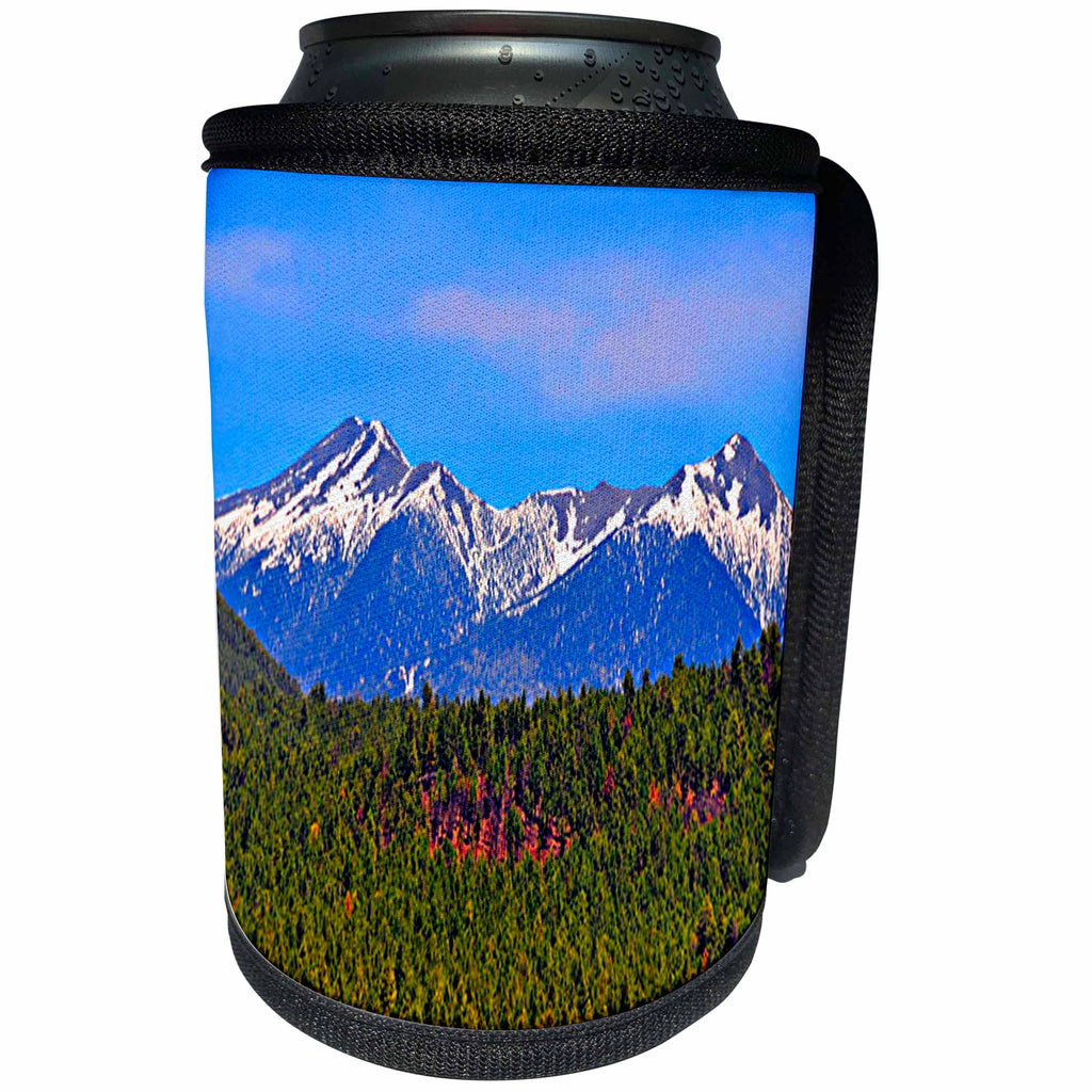 3dRose Sandy Mertens Arizona - Snowcapped Mountains - Can Cooler Bottle Wrap (cc_26230)