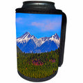 3dRose Sandy Mertens Arizona - Snowcapped Mountains - Can Cooler Bottle Wrap (cc_26230)