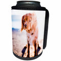 3dRose Sven Herkenrath Pets - A Cute Dog On The Beach At Sunset Pets Dogs Pekingese - Can Cooler Bottle Wrap (cc_262448)