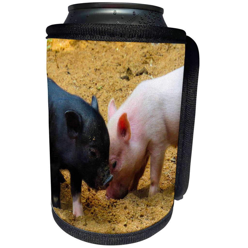 3dRose Sven Herkenrath Animals - Pink and Black Piglet In The Sand Animal Pigs - Can Cooler Bottle Wrap (cc_262450)