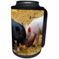 3dRose Sven Herkenrath Animals - Pink and Black Piglet In The Sand Animal Pigs - Can Cooler Bottle Wrap (cc_262450)