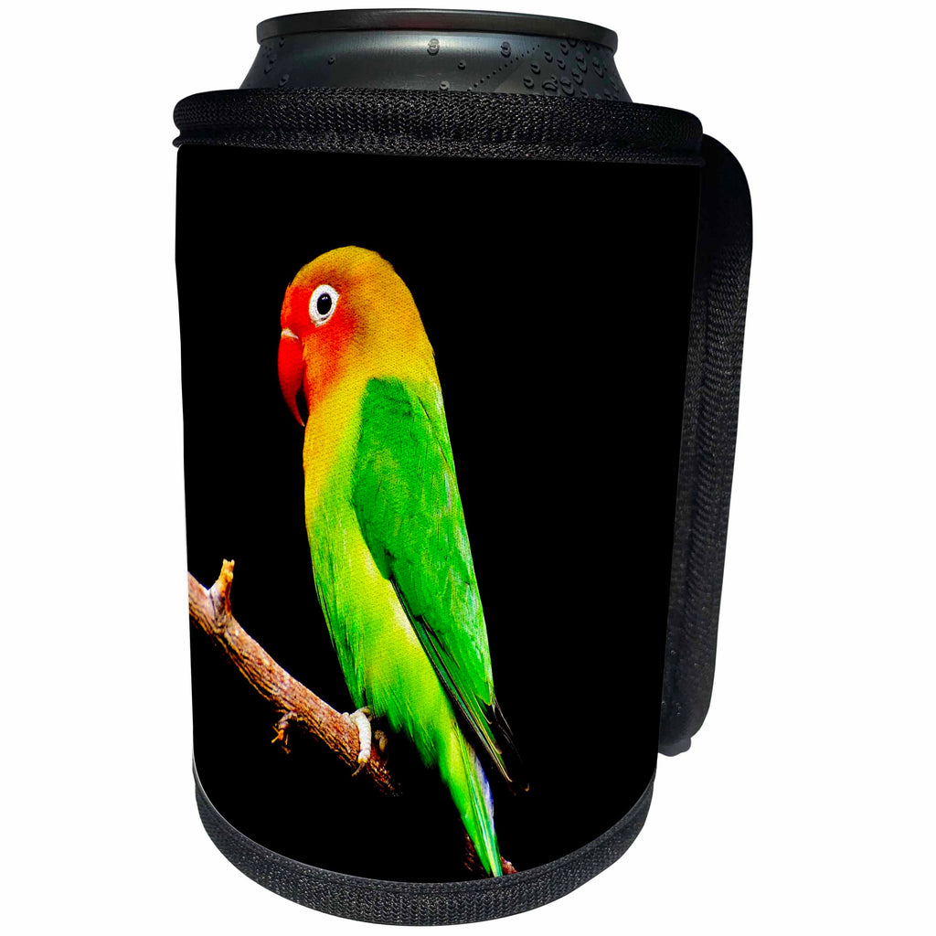 3dRose Sven Herkenrath Pets - Colorful Parrot Sitting On Branch Of A Tree On Black Background Pets Birds - Can Cooler Bottle Wrap (cc_262452)