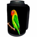 3dRose Sven Herkenrath Pets - Colorful Parrot Sitting On Branch Of A Tree On Black Background Pets Birds - Can Cooler Bottle Wrap (cc_262452)
