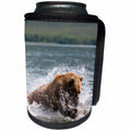 3dRose Sven Herkenrath Animals - Brown Bear Catching Fish In The River Animal Bears - Can Cooler Bottle Wrap (cc_262453)