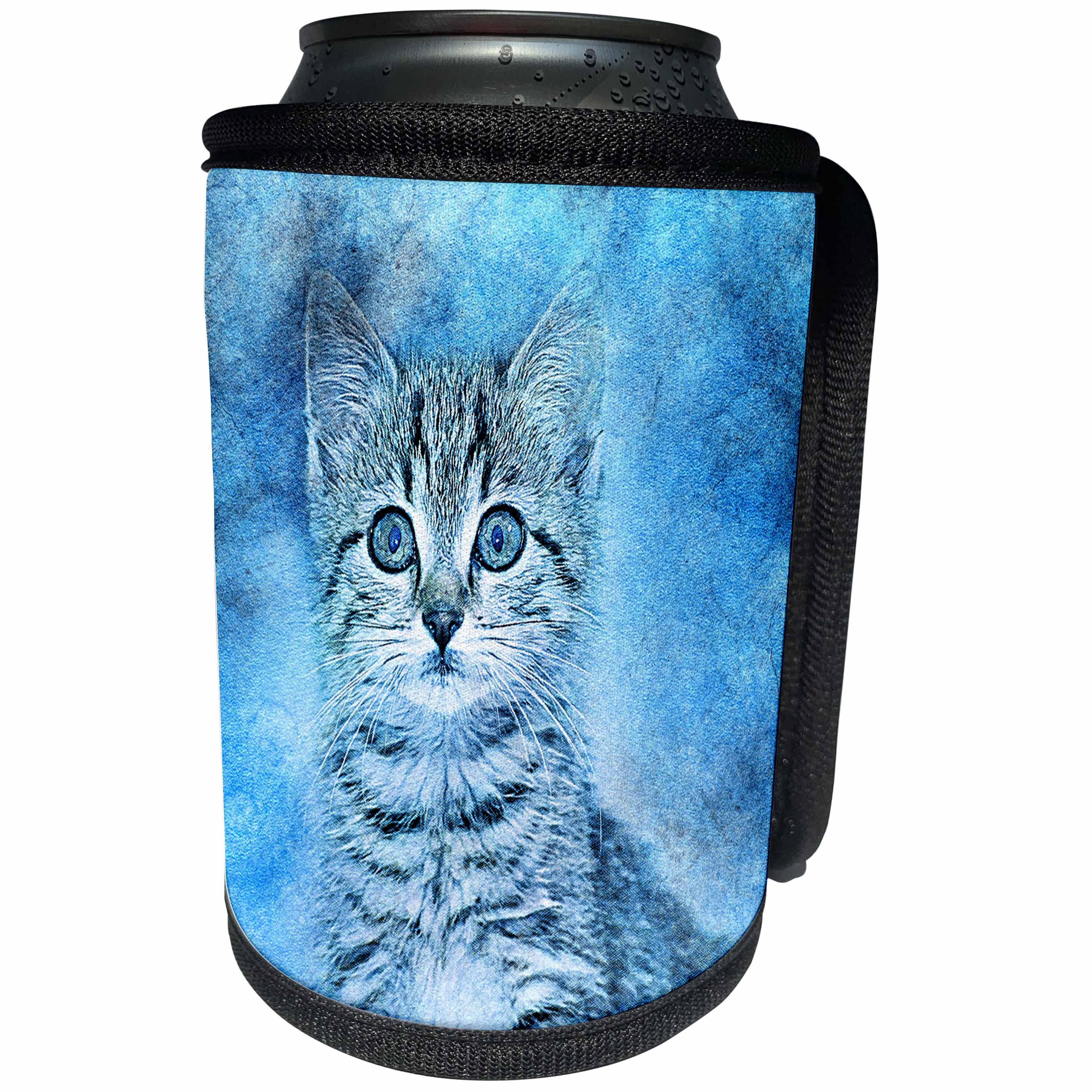 3dRose Sven Herkenrath Pets - Cute Gray Kitten On Blue Background Pet Cats - Can Cooler Bottle Wrap (cc_262454)