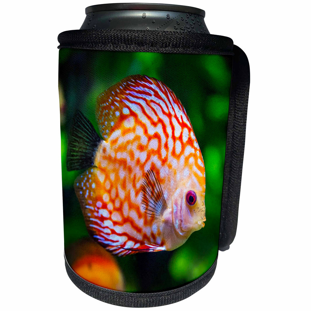3dRose Sven Herkenrath Animals - Colorful Discus Fish Swimming In A Fish Pond Animal Fish - Can Cooler Bottle Wrap (cc_262455)