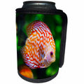 3dRose Sven Herkenrath Animals - Colorful Discus Fish Swimming In A Fish Pond Animal Fish - Can Cooler Bottle Wrap (cc_262455)