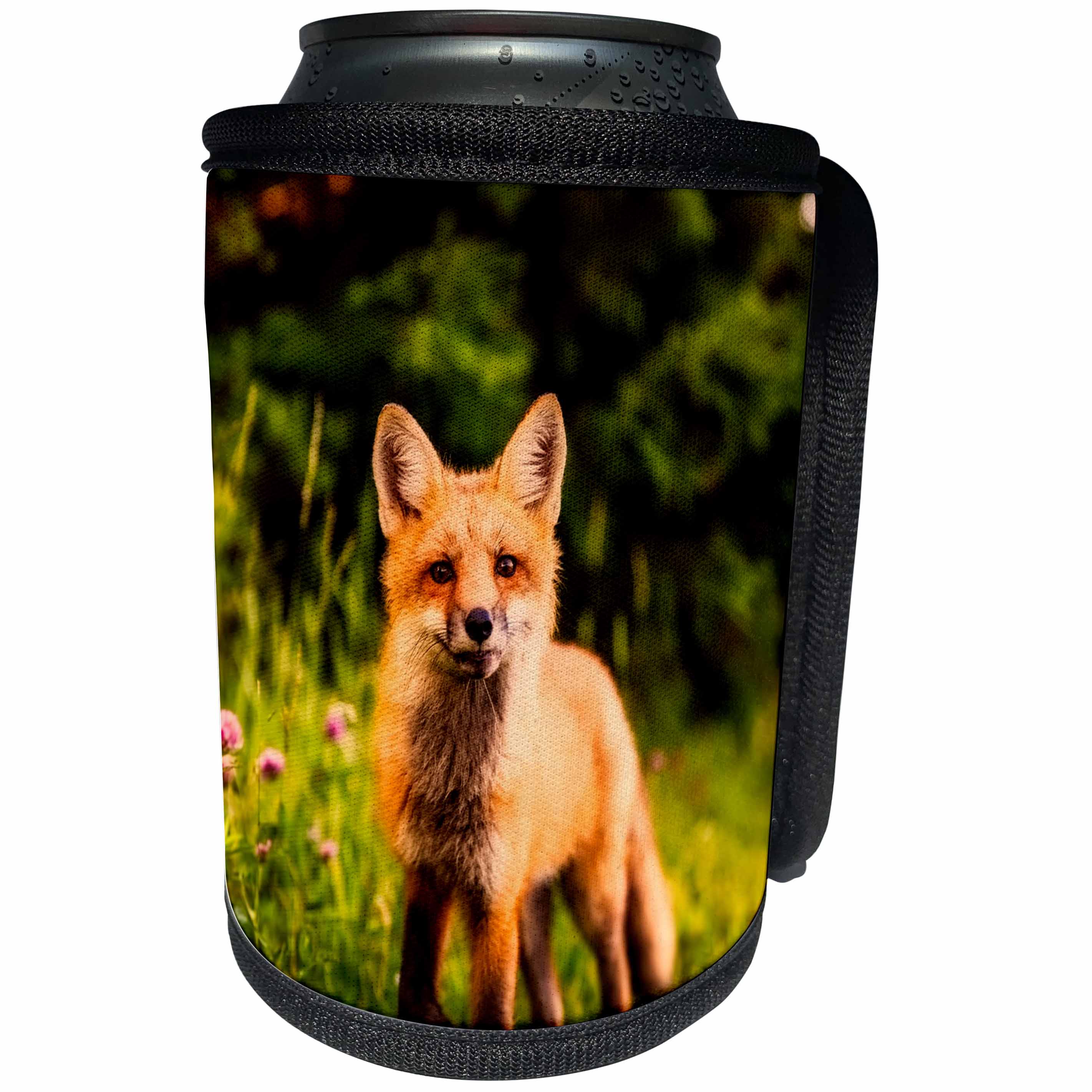 3dRose Sven Herkenrath Animals - A Fox In The Woods Portrait Animal Fox - Can Cooler Bottle Wrap (cc_262457)