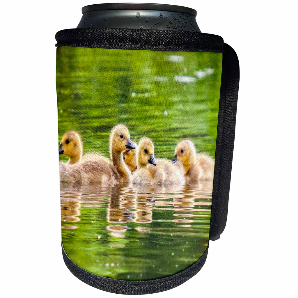 3dRose Sven Herkenrath Animals - A Group Of Goslings Swimming In The Lake Animal Goose - Can Cooler Bottle Wrap (cc_262458)