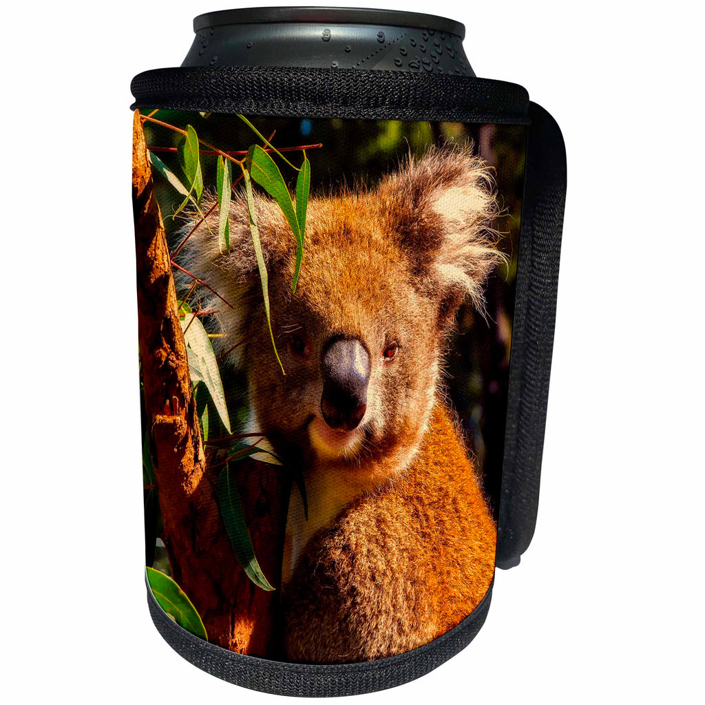 3dRose Sven Herkenrath Animals - Cute Koala Sitting On The Branch Of A Tree Animal Coala - Can Cooler Bottle Wrap (cc_262462)