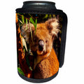 3dRose Sven Herkenrath Animals - Cute Koala Sitting On The Branch Of A Tree Animal Coala - Can Cooler Bottle Wrap (cc_262462)
