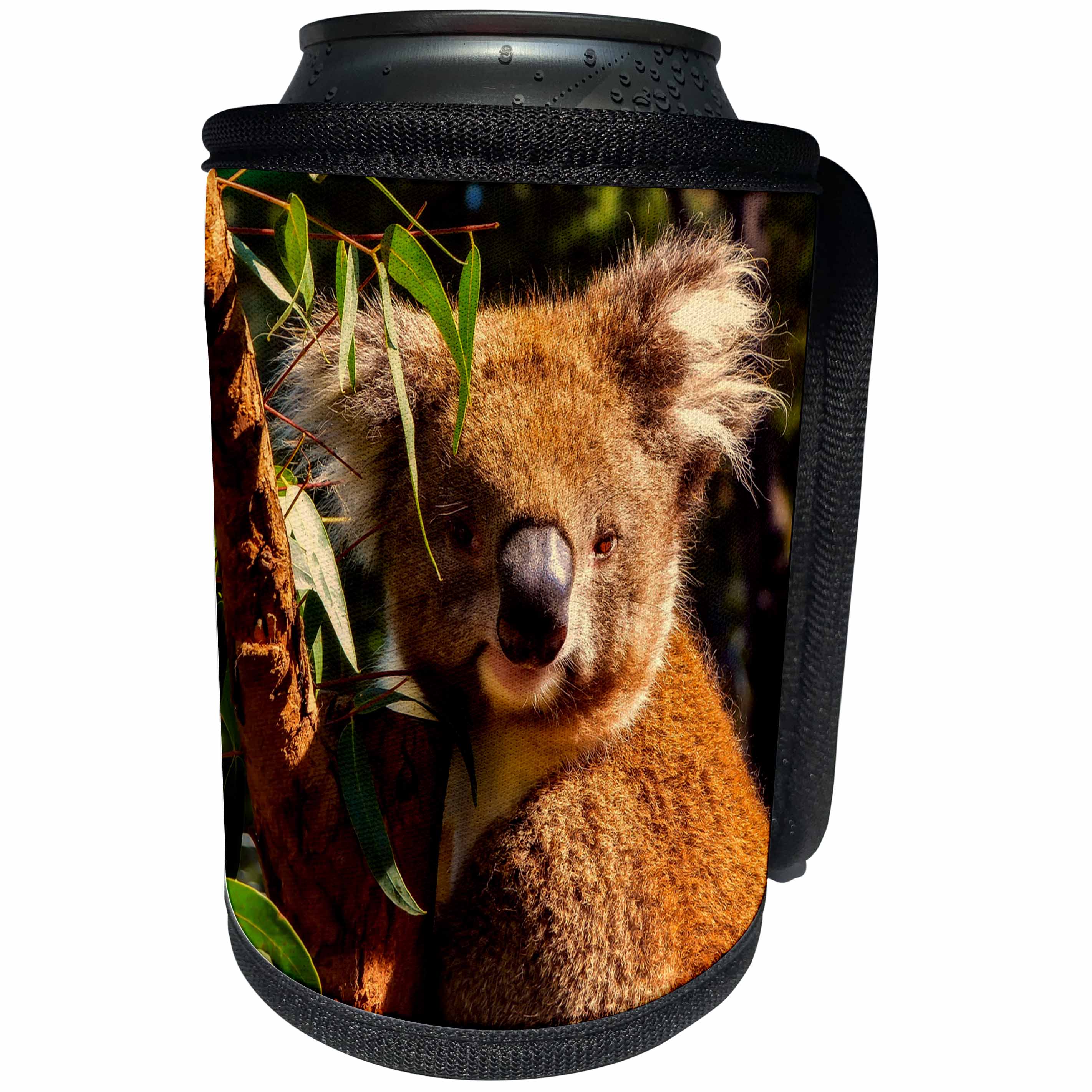 3dRose Sven Herkenrath Animals - Cute Koala Sitting On The Branch Of A Tree Animal Coala - Can Cooler Bottle Wrap (cc_262462)