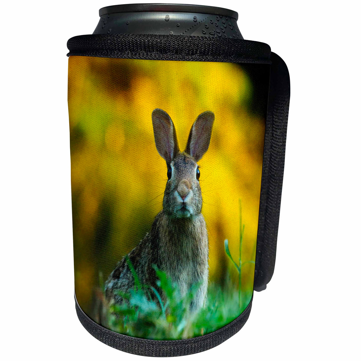3dRose Sven Herkenrath Animals - A Rabbit In The Autumn Grass Animal Rabbits - Can Cooler Bottle Wrap (cc_262464)