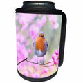 3dRose Sven Herkenrath Animals - Singing Robin Spring Bird On Colorful Background Animals Birds - Can Cooler Bottle Wrap (cc_262466)