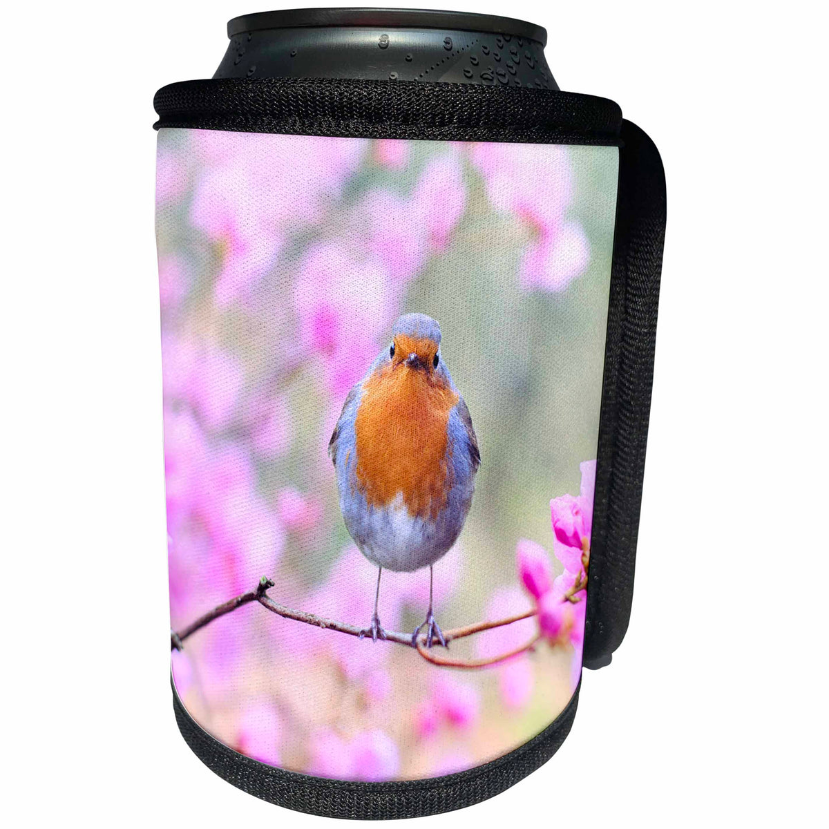 3dRose Sven Herkenrath Animals - Singing Robin Spring Bird On Colorful Background Animals Birds - Can Cooler Bottle Wrap (cc_262466)