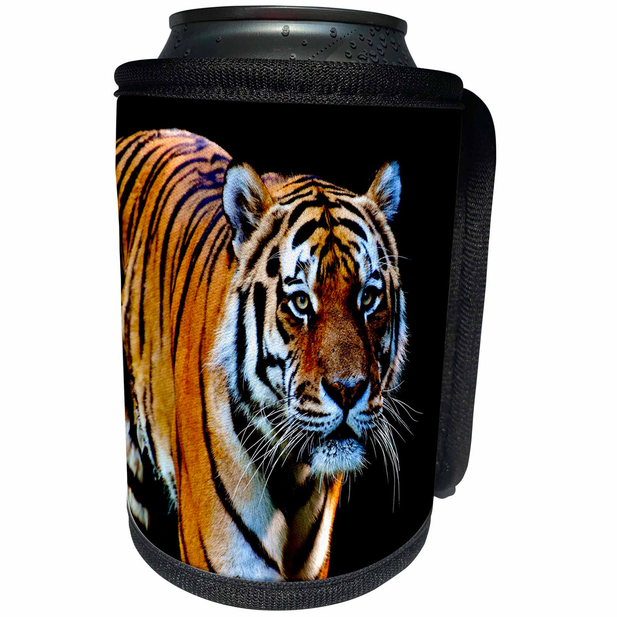 3dRose Sven Herkenrath Animals - A Tiger On Black Background Contrast Animal Tigers - Can Cooler Bottle Wrap (cc_262468)
