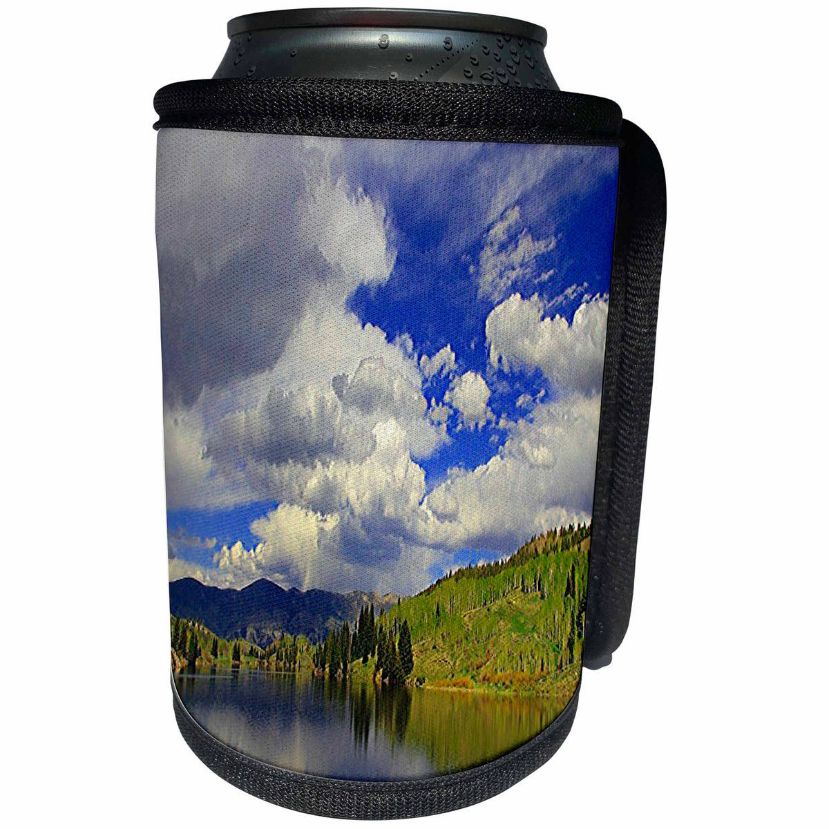 3dRose Sandy Mertens Colorado - Lower Cataract Lake in Eagle Net Wilderness - Can Cooler Bottle Wrap (cc_26265)