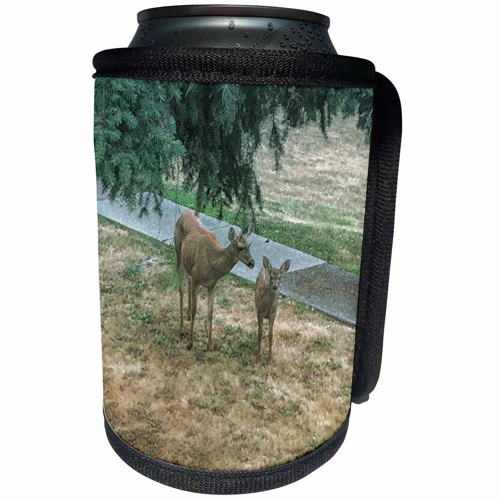 3dRose DYLAN SEIBOLD - PHOTOGRAPHY - Deer - Can Cooler Bottle Wrap (cc_262674)