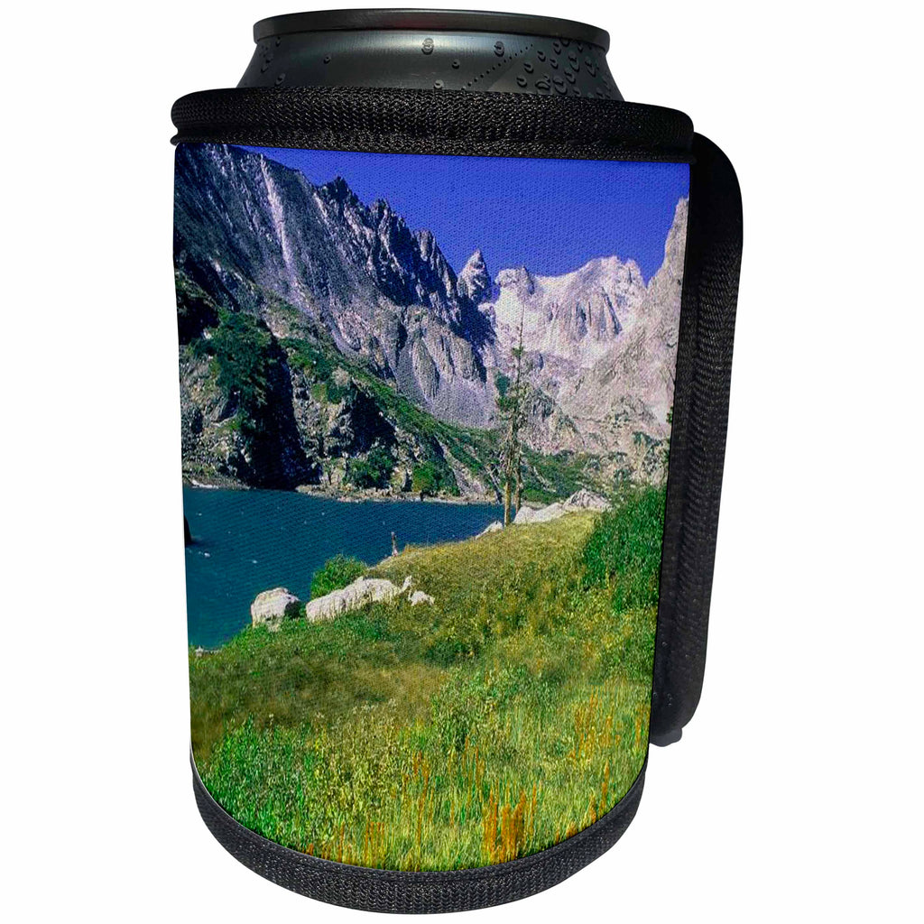 3dRose Sandy Mertens Colorado - Lake Isabelle Indian Peaks Wilderness - Can Cooler Bottle Wrap (cc_26272)