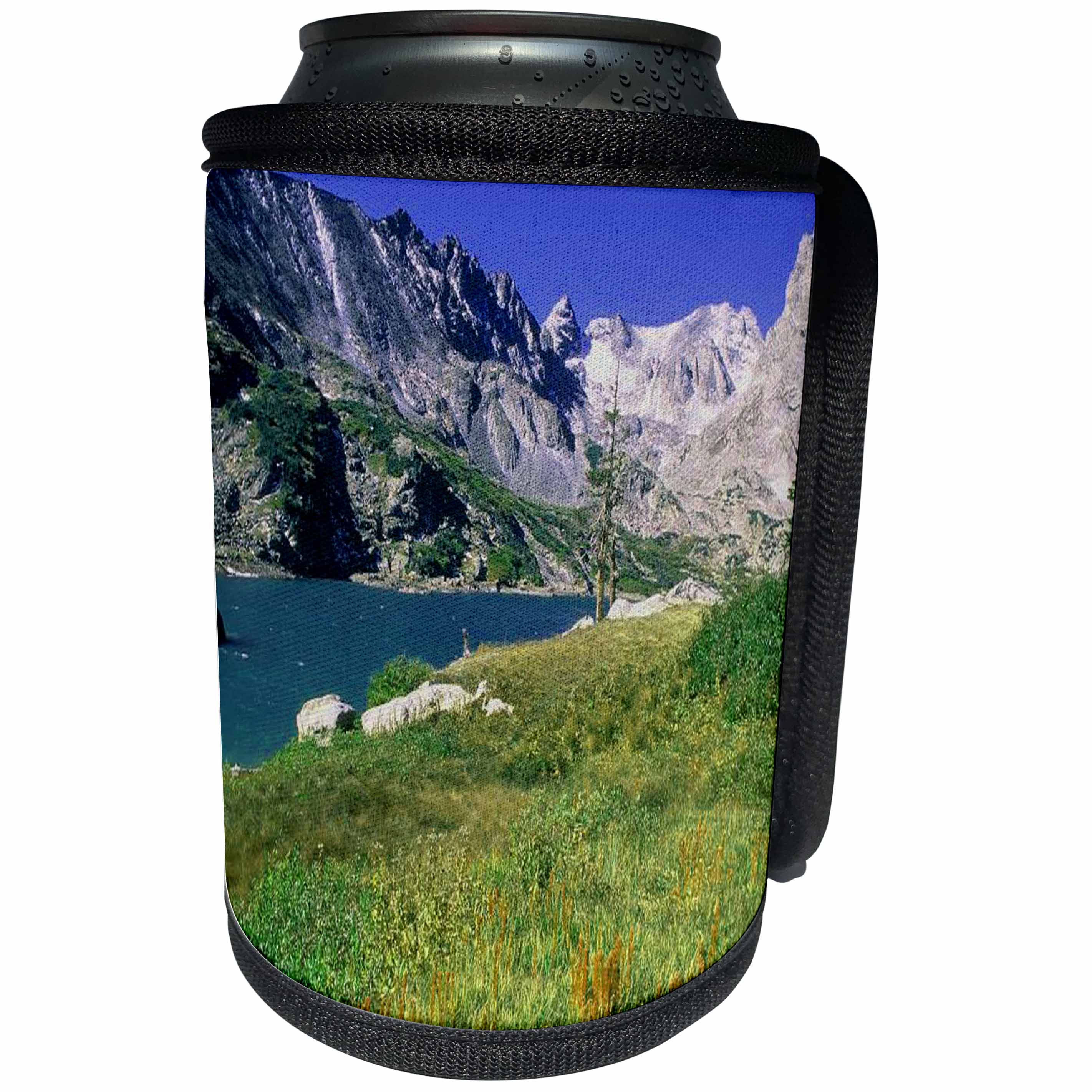 3dRose Sandy Mertens Colorado - Lake Isabelle Indian Peaks Wilderness - Can Cooler Bottle Wrap (cc_26272)