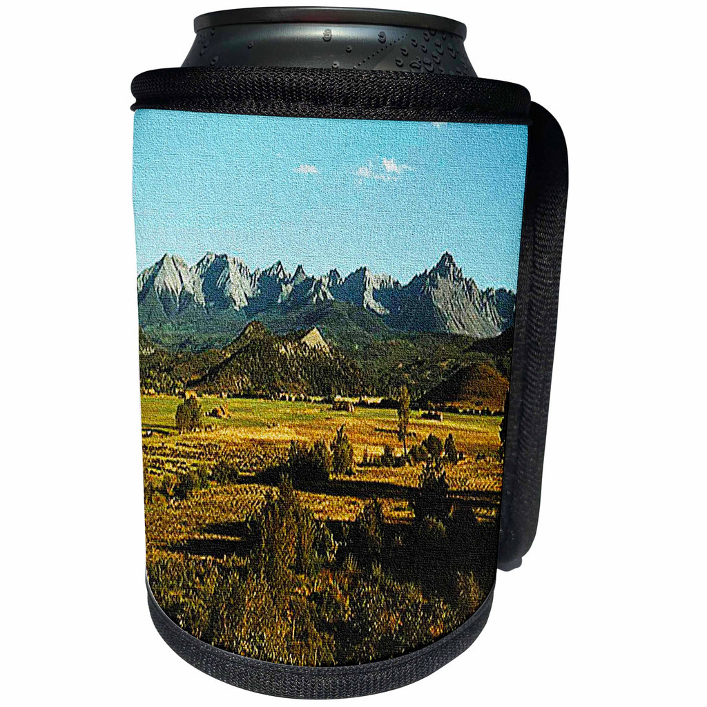3dRose Sandy Mertens Colorado - Mt Sneffels and Farmland - Can Cooler Bottle Wrap (cc_26291)