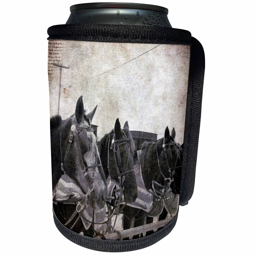 3dRose Cassie Peters Horses - Amish Hitching Post - Can Cooler Bottle Wrap (cc_262916)