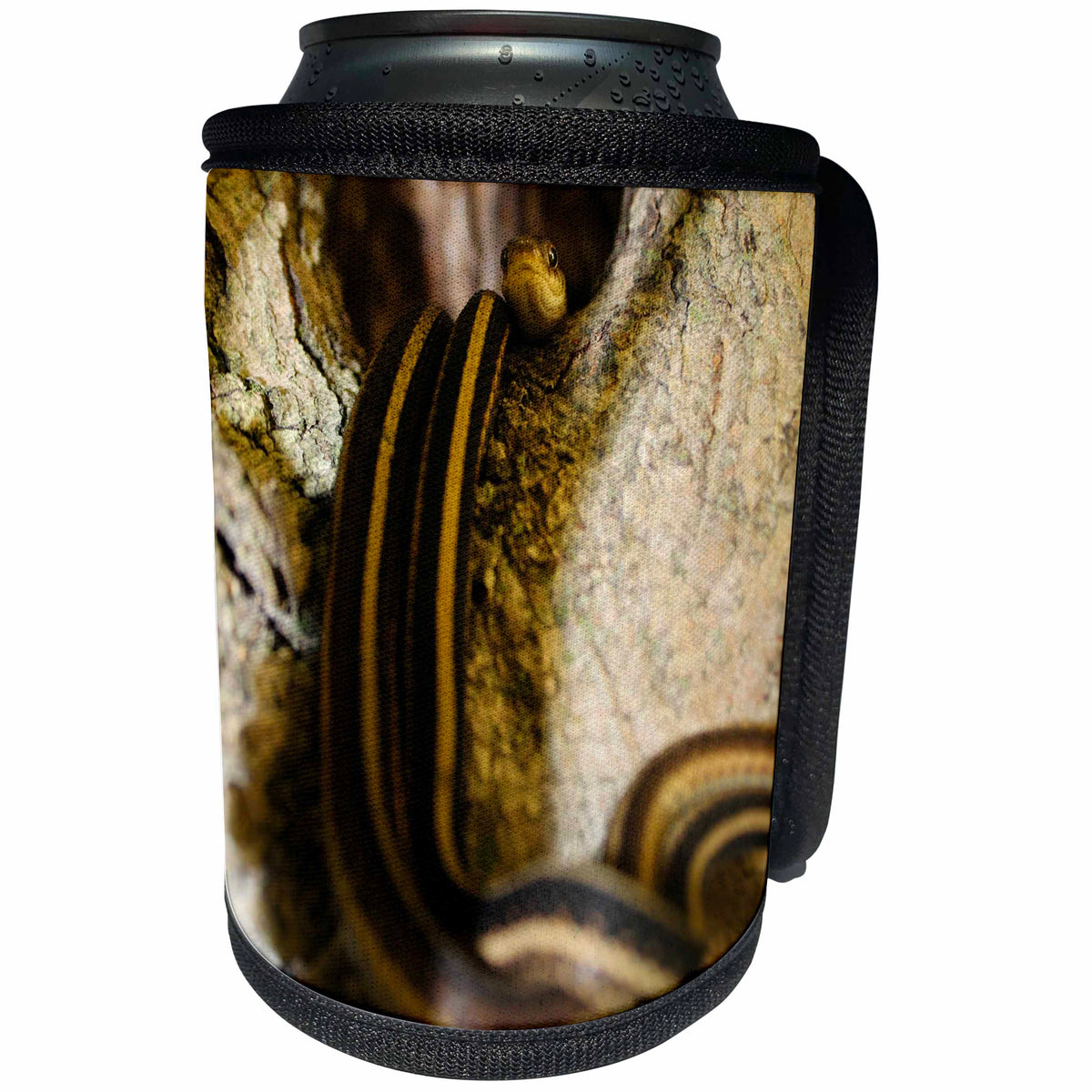 3dRose Cassie Peters Photography - Two Snakes in a Hollow - Can Cooler Bottle Wrap (cc_262931)