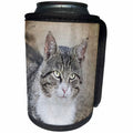 3dRose Andrea Haase Animals Photography - Close up of cute cat photography - Can Cooler Bottle Wrap (cc_262985)
