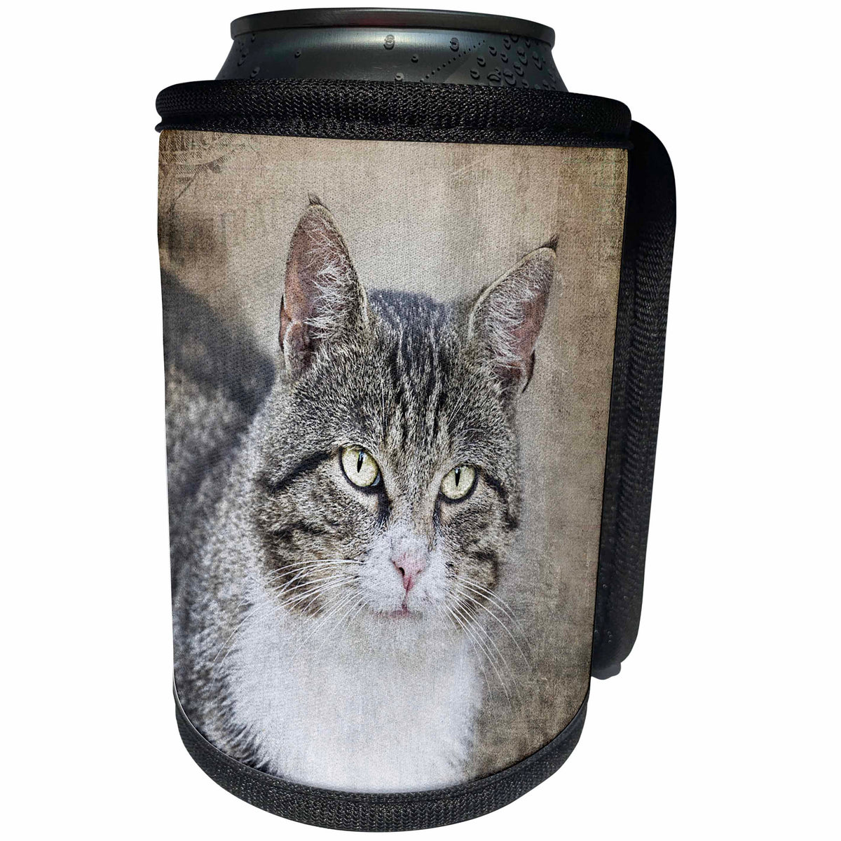 3dRose Andrea Haase Animals Photography - Close up of cute cat photography - Can Cooler Bottle Wrap (cc_262985)