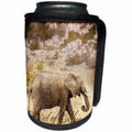 3dRose Andrea Haase Animals Illustration - Elephant mixed media collage out of Africa text - Can Cooler Bottle Wrap (cc_262986)
