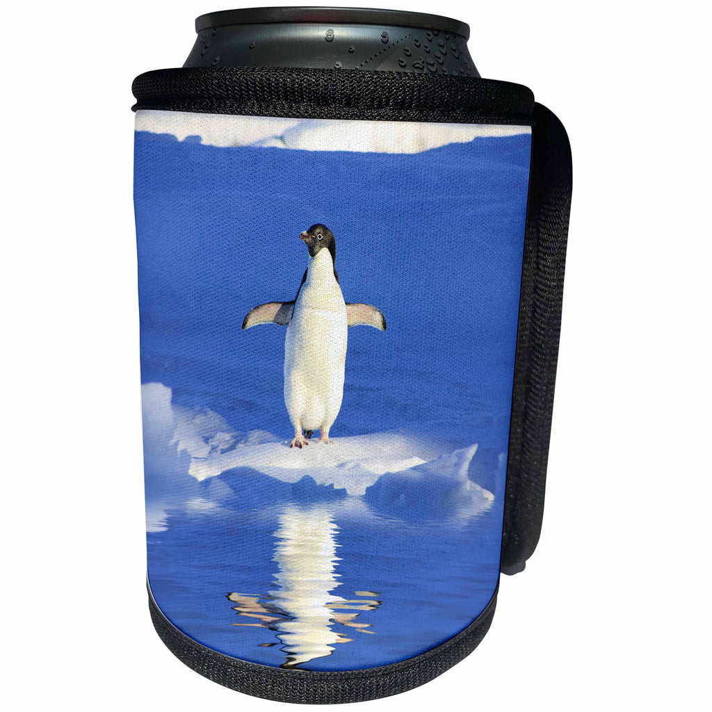 3dRose Andrea Haase Animals Photography - Penguin on ice floe surrounded by water - Can Cooler Bottle Wrap (cc_262987)