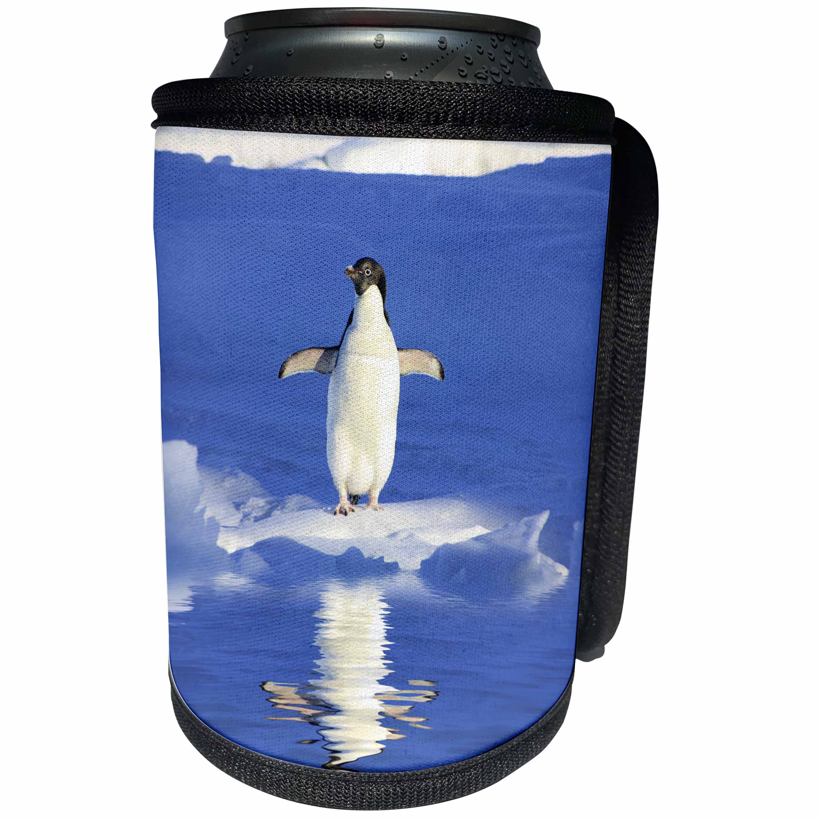 3dRose Andrea Haase Animals Photography - Penguin on ice floe surrounded by water - Can Cooler Bottle Wrap (cc_262987)