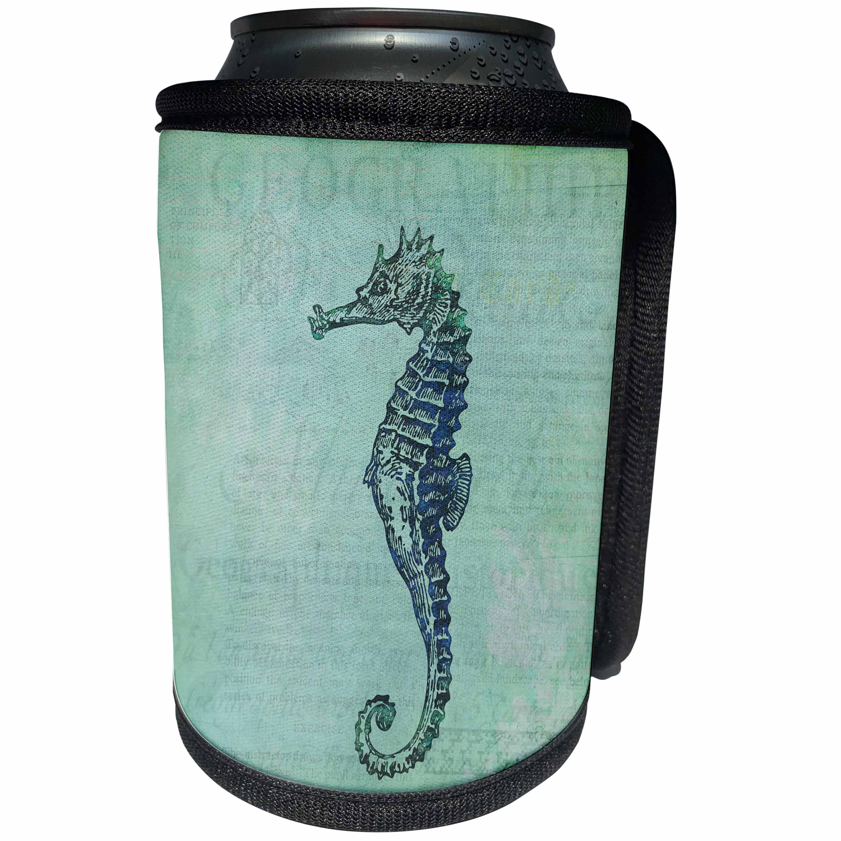 3dRose Andrea Haase Animals Illustration - Seahorse vintage style illustration - Can Cooler Bottle Wrap (cc_262995)