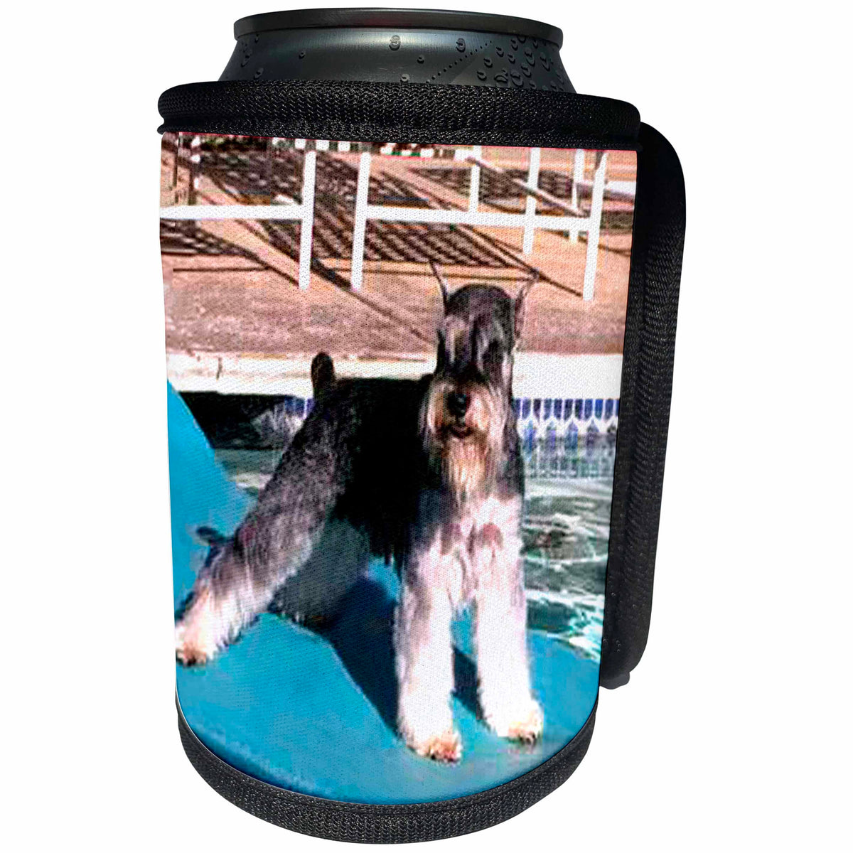 3dRose Dogs Schnauzer - Schnauzer - Can Cooler Bottle Wrap (cc_263)