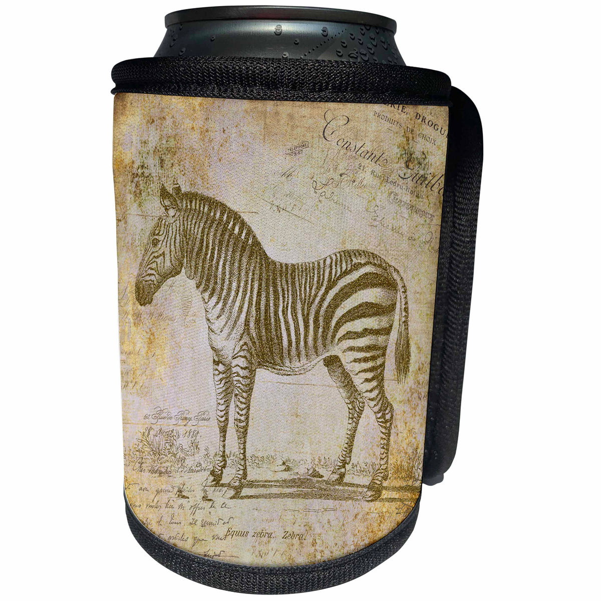 3dRose Andrea Haase Animals Illustration - Vintage zebra illustration sepia brown - Can Cooler Bottle Wrap (cc_263005)
